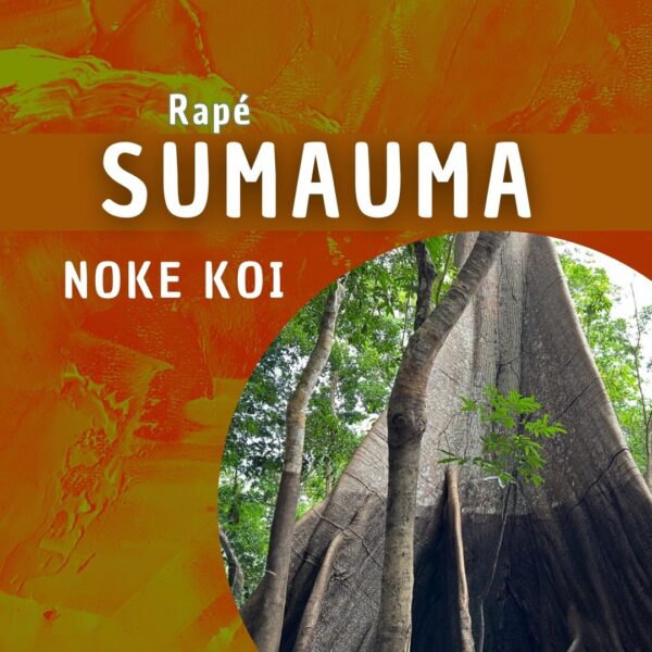 Noke Koi | Samauma