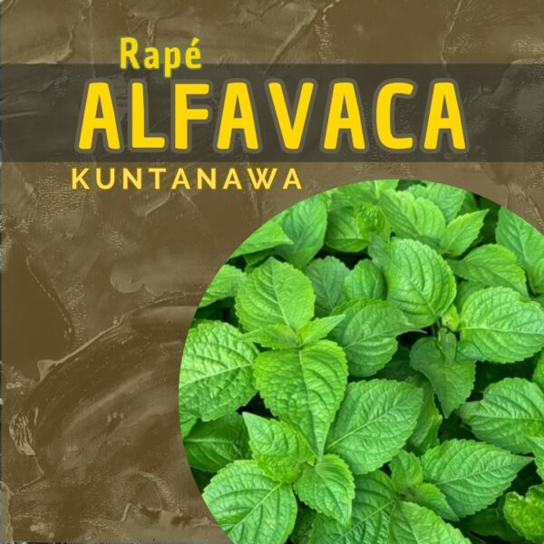 Kuntanawa | Alfavaca