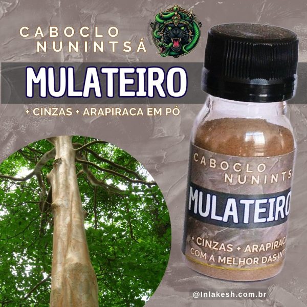 Rapé Caboclo Nunintsá | Mulateiro