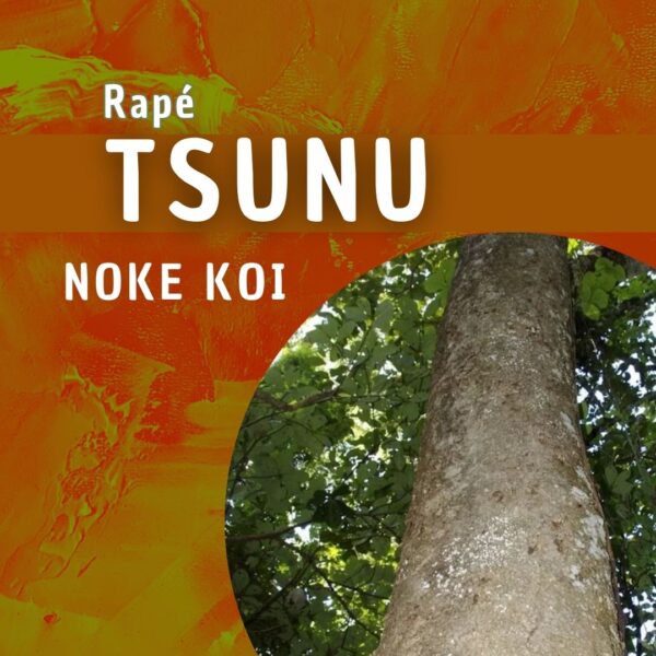 Noke Koi | Tsunu